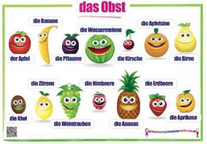 German fruits wall chart / das Obst